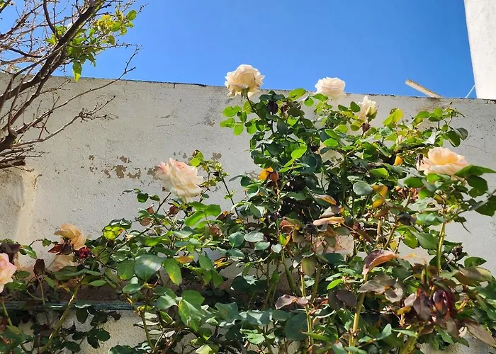 Duplex Bien Equipe Securise Avec Jardin Et Veranda